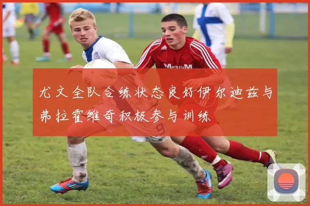 尤文全队合练状态良好伊尔迪兹与弗拉霍维奇积极参与训练